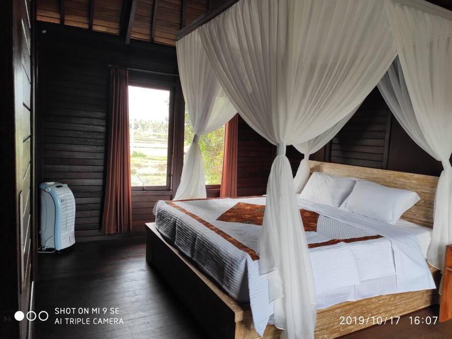Tegeswoodhouse,Private Pool,Two Bedrooms And Free Wifi Ουμπούντ Εξωτερικό φωτογραφία